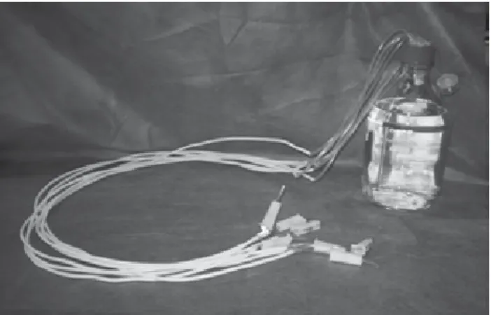 Figure 1 –  Experimental model for bioilm formation on sample  specimens
