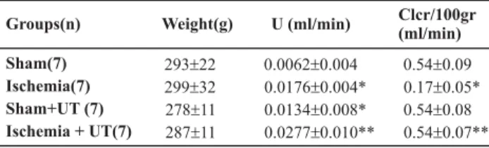 Table 1 - Results of body weight and global renal function of the groups: Sham, Ischemia, Sham +Uncaria tomentosa; Ischemia+