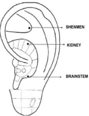 Figure 1 –  Identiication of the points used in the intervention  groups