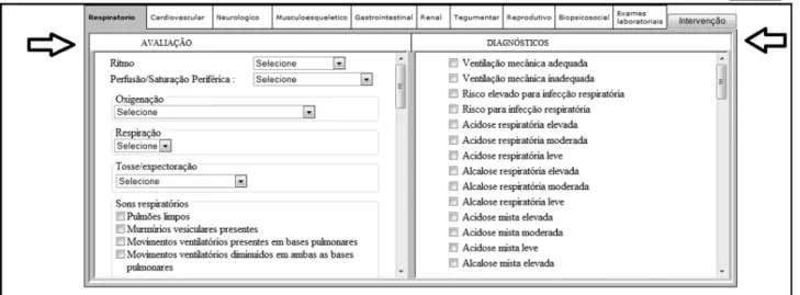 Figure 2 - Screen showing nursing diagnoses and interventions from the ICNP ®  1.0 computerized NP - Florianópolis, 2011
