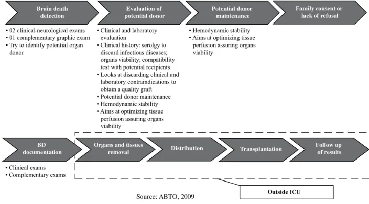 Figure 1 – Organ donation process.
