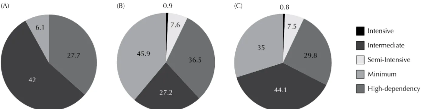 Figure 1 - Mean daily number of patients according to the patient classification system from August 2012 to July 2013 - São Paulo, 2014.