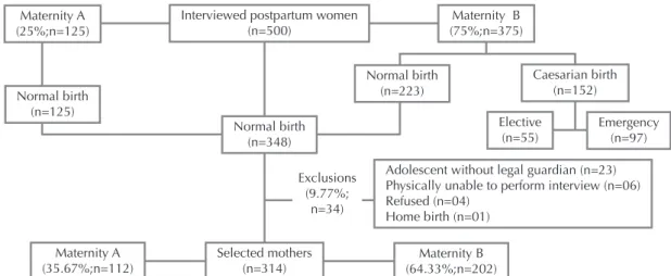 Figure 1 – Selection process of the mothers (postpartum women) - Natal, RN, Brazil, 2014.