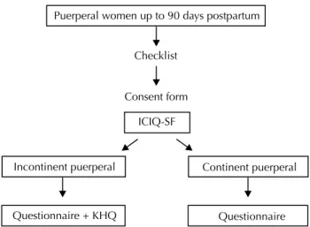 Figure 1 – Data collection procedures.