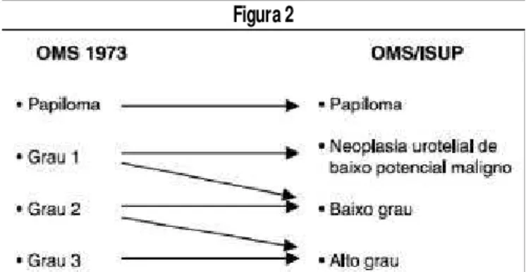 Figura 1 Figura 2