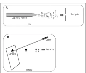 Figure 2 –  Ionization methods. (A) ESI method: an  aqueous solution containing the analyte is forced through  a capillary needle and ejected as a spray with highly  charged droplets, which generate analyte ionized forms  after solvent evaporation