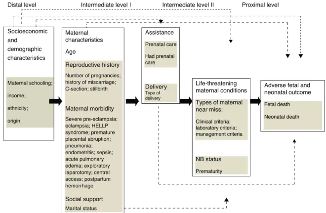 Fig. 1 – Hierarchical model for fetal and neonatal adverse outcome among patients with maternal near miss, adapted from  the model of Lima 20 .