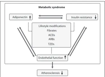 FIGURA 3   Therapeutic intervention mechanisms of adiponectin,  insulin resistance and endothelial function