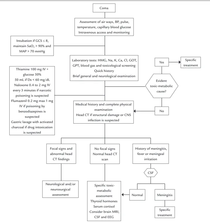 FIGURE 1   Algorithm of the initial approach to the patient in a coma.