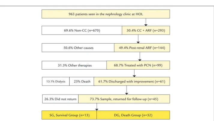 TABLE 1   Lab workup (blood dosages) and progression of  the 45 patients with CC according to groups (SG = survival,  and DG = death)
