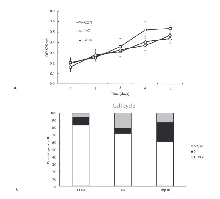 FIGURE 3   A. The growth curves of different groups after transfection. DPCs grew more rapidly after silencing of the p16 INK4a  gene, and this  effect was more obvious after day 3