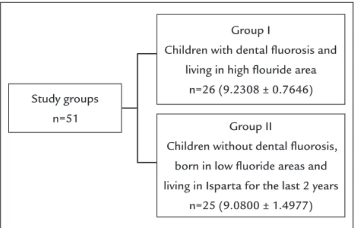FIGURE 1   The study and control groups.