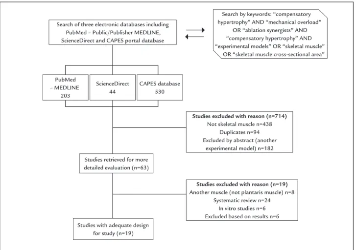 Table 1 summarizes the indings of the 19 articles ana- ana-lyzed in the present systematic review