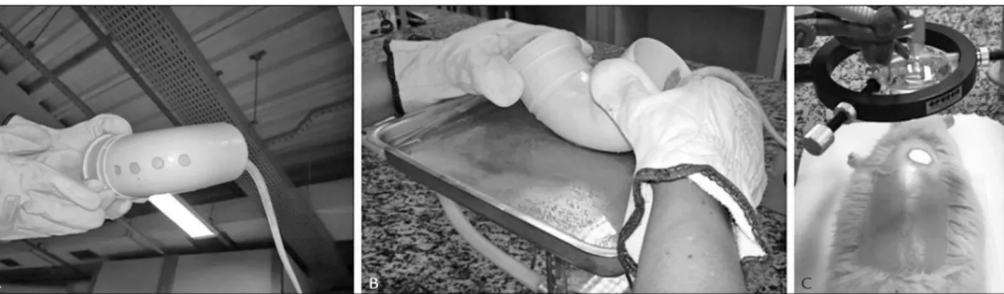 Table 1 shows the morphological result on day 14 post- post--induction of the burns. 