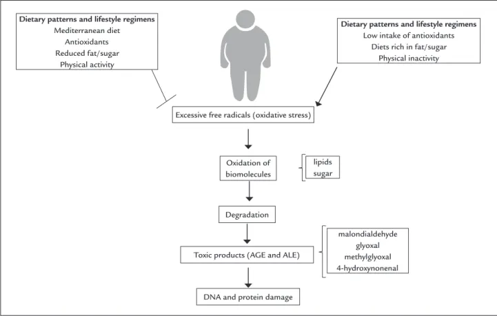 FIGURE 2   Biochemical way of oxidative stress.