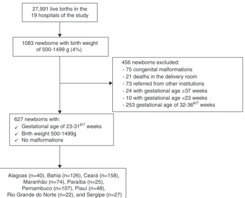 Figure 1 Neonates comprising the study sample based on database survey by the North-Northeast Perinatal Health Network (RENOSPE) 2007.