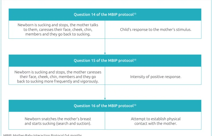 Figure 1 Criteria adapted to the situation of breastfeeding in the evaluation by the Mother‑Baby Interaction  Protocol 0‑6 months (MBIP)