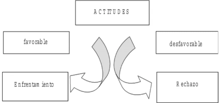Figura 3 – Actitudes de los cuidadores al cuidar de los ancianos