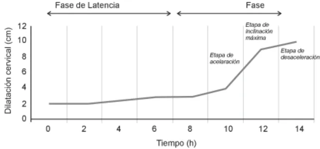 Figura 1 - Curva sigmoidea de la dilatación cervical (cm) de las fases latente y activa y de las divisiones preparatorias de dilatación pélvica del trabajo de parto (Friedman, 1954)
