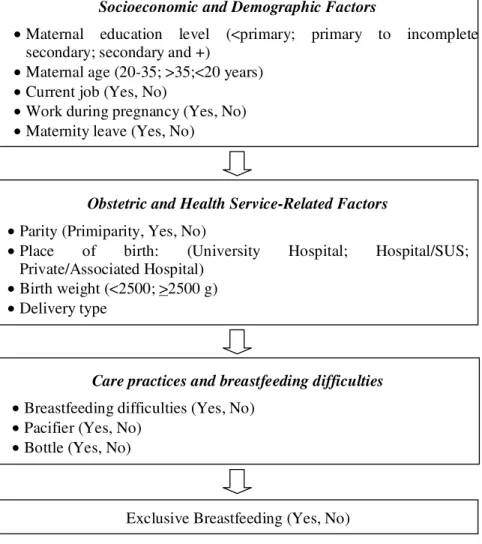 Figure 1 -  Theoret ical m odel of EB sit uat ion det erm inant s in children under 4 m ont hs old