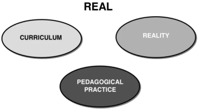 Figure 1 is an analogical m odel which, in our opinion, represent s t he realit y of t he current  curriculum adopt ed in t he undergraduat e nursing course at  UESC.