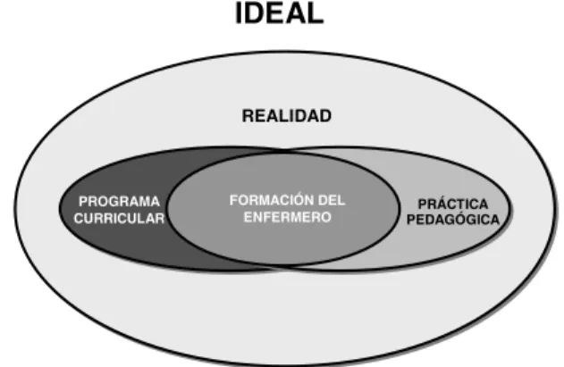 Figura 1 -  Realidad at ual del Program a Curricular en Graduación en Enferm ería de la UESC, 2002