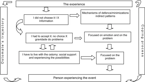 Figur e 1 -  Mov em ent  of m eaning appr ehended,  accor ding t o t he ost om at es’ ex per ience