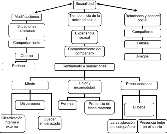 Figura 1. Representación de las categoríasSexualidad Tiempo inicio de la actvidad sexual Experiência sexual Comportamiento del compañero Sentimiento e sensaciones Miedo Dolor y incomodidad  Preocupaciones Perineal Presencia de leche materna Cicatrización i