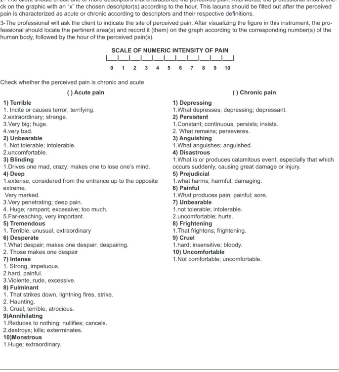 Figure 3 – Multidimensional Pain Evaluation Scale (MPES) (Faleiros Sousa et. al.)