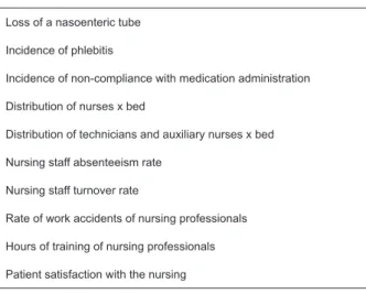 Figure  1  -  Indicators  adopted  by  the  Public  Hospital  Nursing Service. Ribeirao Preto, SP, 2010