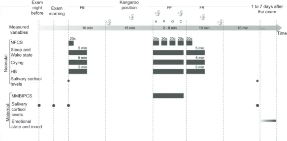 Figure 1 – Organization chart of the data collection and measured variablesMaternal:MMBIPCSSalivary cortisol levelsEmotional state and mood