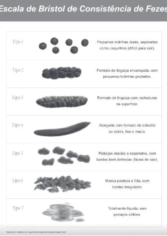 Table 1 – Characteristics referent to the sex of the  respondents who made up the sample