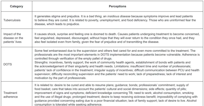 Figure 2 – Perceptions of health professionals according to the categories of analysis