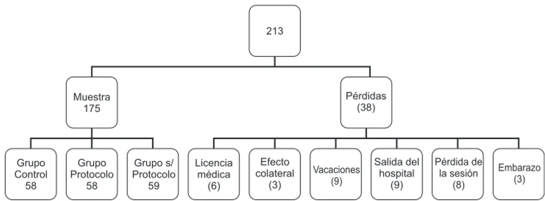 Figura 1 - Diagrama de luctuación de los sujetos de la investigación. Sao Paulo, SP, Brasil, 2012