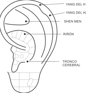 Figura 2 - Puntos auriculares del Grupo protocolo. Sao Paulo, SP, Brasil, 2012