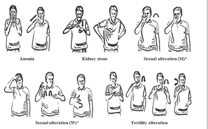 Figure 3 – LIBRAS expression by people with deafness for diseases/health problems. Campina Grande, PB, Brazil,  2012