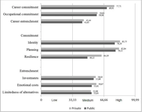 Figure 1 - Standardized mean and classiication of the level of the constructs and  dimensions by type of hospital