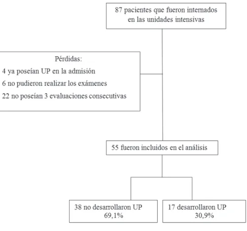 Figura 1 – Diagrama de lujo de participación en el estudio. Vitoria, ES, Brasil, 2013