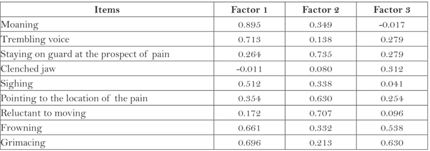 Table 3 – Evaluation of  IADIC items through a Factor Analysis with Varimax rotation. Porto Alegre,  RS, 2012.