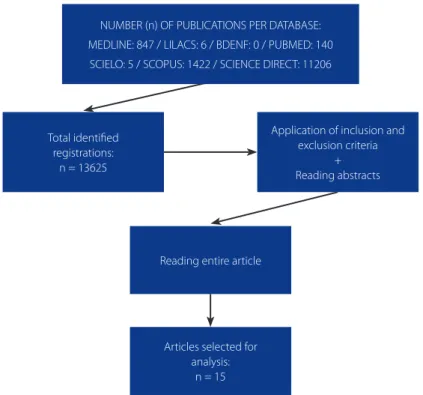 Figure 1.  Flowchart of the methodological steps carried out for article selection. Rio de Janeiro, RJ, 2014.