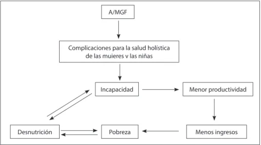 Cuadro 1 – La MGF y el Objetivo de Desarrollo del Milenio - MGF y ODM.1