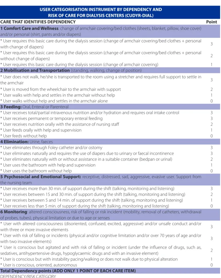 Figure 1 – Care that identifies dependency in the Brazilian Portuguese version of the CUDYR-DIAL instrument