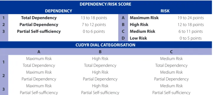 Figure 2 – Specific nursing care that identifies risk in the Brazilian Portuguese version of the CUDYR-DIAL instrument