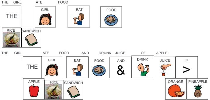 Figure 2 – Follow-up protocol