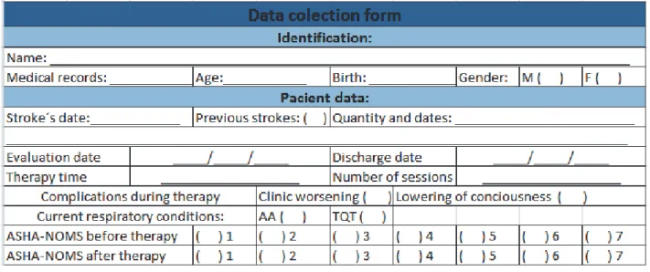 Figure 2 – Form for the data to be collected from medical records