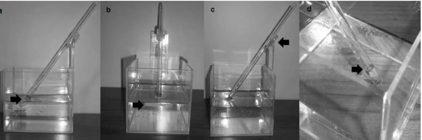 Figure 1 – a) tube mark in water level, immersed at 2cm from the surface; b) water level mark on the  recipient (9cm); c) Tube support; d) Tube mark for immersion at 2 cm