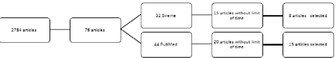 Figure 1 – Information referring to the bibliographic collection and selection of articles