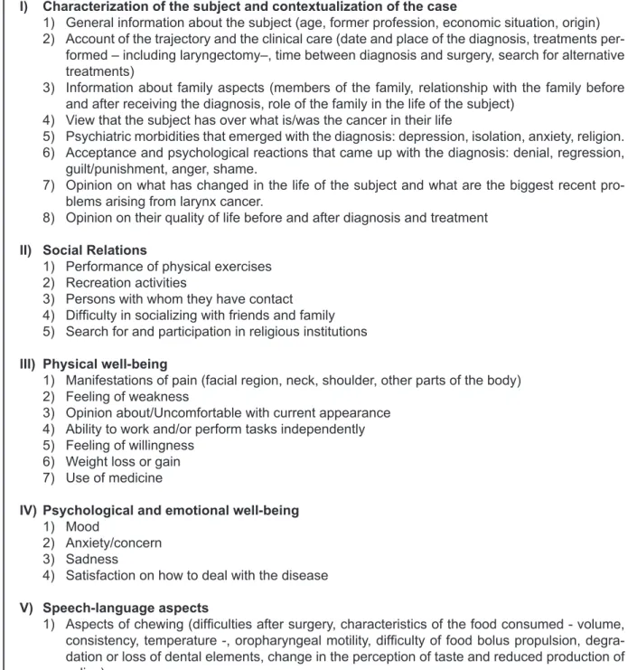 Figure 1 – Interview guide