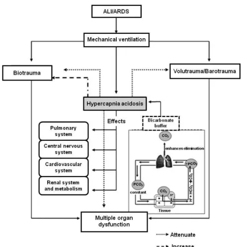 Figure 3 – Mechanical ventilation may contribute to acute lung injury (ALI) by causing direct structural damage (baro/volu- (baro/volu-trauma) to the lung and activating the inlammatory response (bio(baro/volu-trauma) leading to multiple organ dysfunction