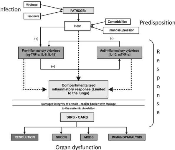 Figure 1 - A PIRO-based look at the pathophysiology of severe infections: the case of pneumonia